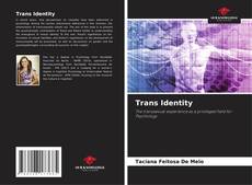 Borítókép a  Trans Identity - hoz
