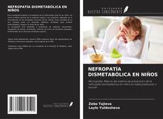 NEFROPATÍA DISMETABÓLICA EN NIÑOS kitap kapağı