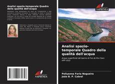Capa do livro de Analisi spazio-temporale Quadro della qualità dell'acqua 