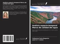Copertina di Análisis espacio-temporal Marco de calidad del agua