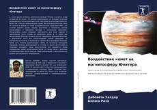 Bookcover of Воздействие комет на магнитосферу Юпитера