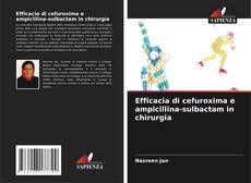 Capa do livro de Efficacia di cefuroxima e ampicillina-sulbactam in chirurgia 