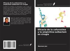 Copertina di Eficacia de la cefuroxima y la ampicilina-sulbactam en cirugía