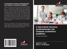 Обложка L'istruzione tecnico-professionale nel sistema scolastico pubblico