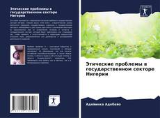 Этические проблемы в государственном секторе Нигерии的封面