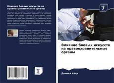 Влияние боевых искусств на правоохранительные органы的封面