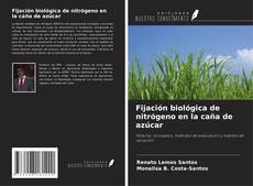 Buchcover von Fijación biológica de nitrógeno en la caña de azúcar