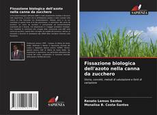 Buchcover von Fissazione biologica dell'azoto nella canna da zucchero