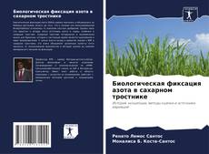 Биологическая фиксация азота в сахарном тростнике的封面