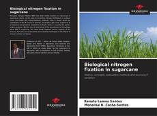 Buchcover von Biological nitrogen fixation in sugarcane