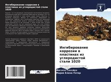 Ингибирование коррозии в пластинах из углеродистой стали 1020的封面