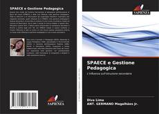 Buchcover von SPAECE e Gestione Pedagogica