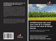 Couverture de Acidificazione dei suoli con l'uso di S e letame bovino nel nord di Minas Gerais