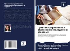 Практика управления в образовании молодежи и взрослых的封面