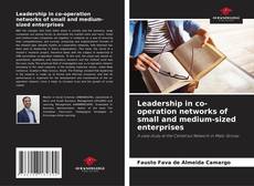 Leadership in co-operation networks of small and medium-sized enterprises kitap kapağı