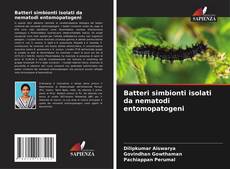 Couverture de Batteri simbionti isolati da nematodi entomopatogeni