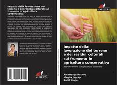 Borítókép a  Impatto della lavorazione del terreno e dei residui colturali sul frumento in agricoltura conservativa - hoz