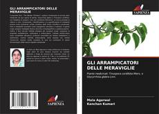 Buchcover von GLI ARRAMPICATORI DELLE MERAVIGLIE