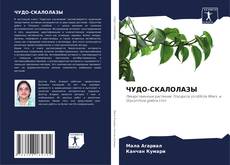 ЧУДО-СКАЛОЛАЗЫ的封面