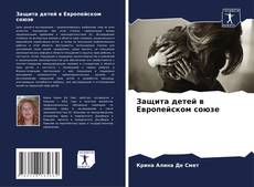 Защита детей в Европейском союзе的封面