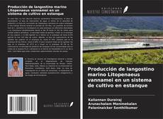 Borítókép a  Producción de langostino marino Litopenaeus vannamei en un sistema de cultivo en estanque - hoz