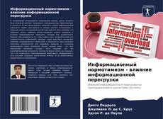 Информационный нормотимизм - влияние информационной перегрузки的封面