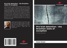 Copertina di Pre-trial detention - the Brazilian state of exception