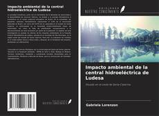 Couverture de Impacto ambiental de la central hidroeléctrica de Ludesa