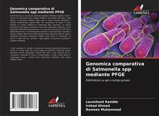 Buchcover von Genomica comparativa di Salmonella spp mediante PFGE