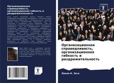 Организационная справедливость, организационная гибкость и раздражительность的封面