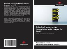 Buchcover von Criminal analysis of homicides in Brusque in 2017