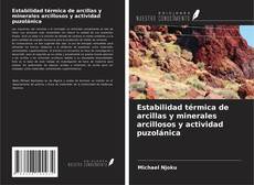 Estabilidad térmica de arcillas y minerales arcillosos y actividad puzolánica kitap kapağı