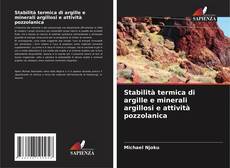 Capa do livro de Stabilità termica di argille e minerali argillosi e attività pozzolanica 