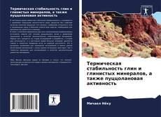 Термическая стабильность глин и глинистых минералов, а также пуццолановая активность的封面
