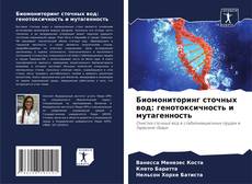 Биомониторинг сточных вод: генотоксичность и мутагенность的封面