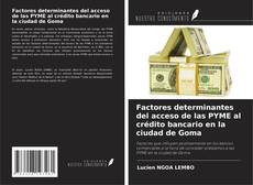 Обложка Factores determinantes del acceso de las PYME al crédito bancario en la ciudad de Goma