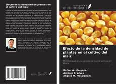 Copertina di Efecto de la densidad de plantas en el cultivo del maíz