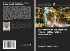 Copertina di Evaluación de los agentes físicos (calor, ruido e iluminación)