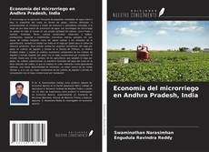 Copertina di Economía del microrriego en Andhra Pradesh, India