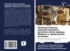 Репродуктивные реакции крупного рогатого скота породы Шароле в тропических условиях的封面