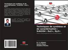 Обложка Techniques de synthèse et de caractérisation : SrAl2O4 : Eu2+, Dy3+