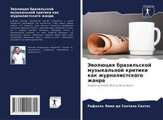 Эволюция бразильской музыкальной критики как журналистского жанра的封面