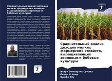 Borítókép a  Сравнительный анализ доходов мелких фермерских хозяйств, выращивающих зерновые и бобовые культуры - hoz