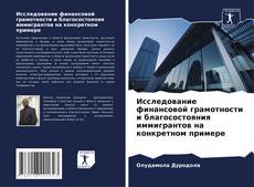 Couverture de Исследование финансовой грамотности и благосостояния иммигрантов на конкретном примере