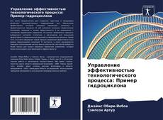 Borítókép a  Управление эффективностью технологического процесса: Пример гидроциклона - hoz