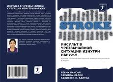 Copertina di ИНСУЛЬТ В ЧРЕЗВЫЧАЙНОЙ СИТУАЦИИ ИЗНУТРИ НАРУЖУ