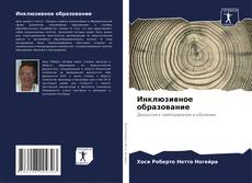 Инклюзивное образование的封面