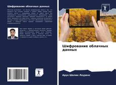 Bookcover of Шифрование облачных данных