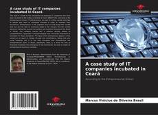 A case study of IT companies incubated in Ceará的封面