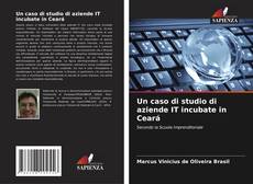 Обложка Un caso di studio di aziende IT incubate in Ceará